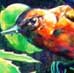 Oriole Painting - Orioles of Hero's Wetland