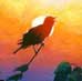 Red Winged Blackbird Painting - Poem, Bird Song and Knowledge, and Paintings